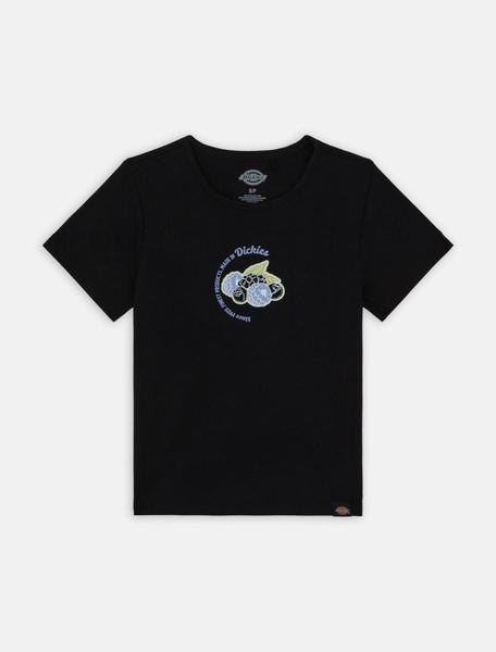 Gallery a04049 iavknmkr